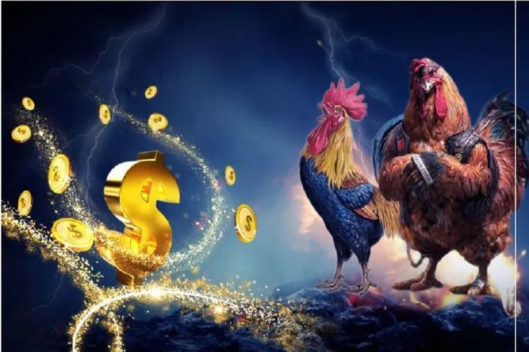 Hướng Dẫn Cách Chơi Đá Gà WS168 Tại W88 Một Cách Chi Tiết