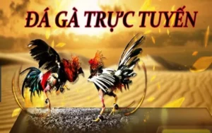 Hướng Dẫn Cách Chơi Đá Gà Sabong Tại W88 Một Cách Chi Tiết
