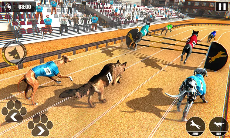 Hướng Dẫn Chơi Game Đua Chó Nhanh Tại W88 Dễ Thắng Nhất