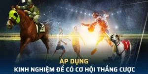 Tìm Hiểu Cá Cược Thể Thao Ảo W88: Hành Trình Khám Phá Thú Vị